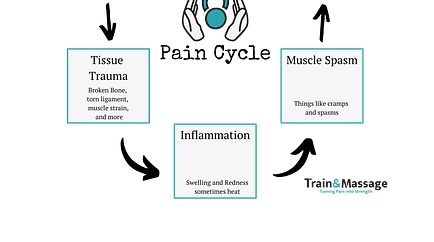 pain cycle 1-2