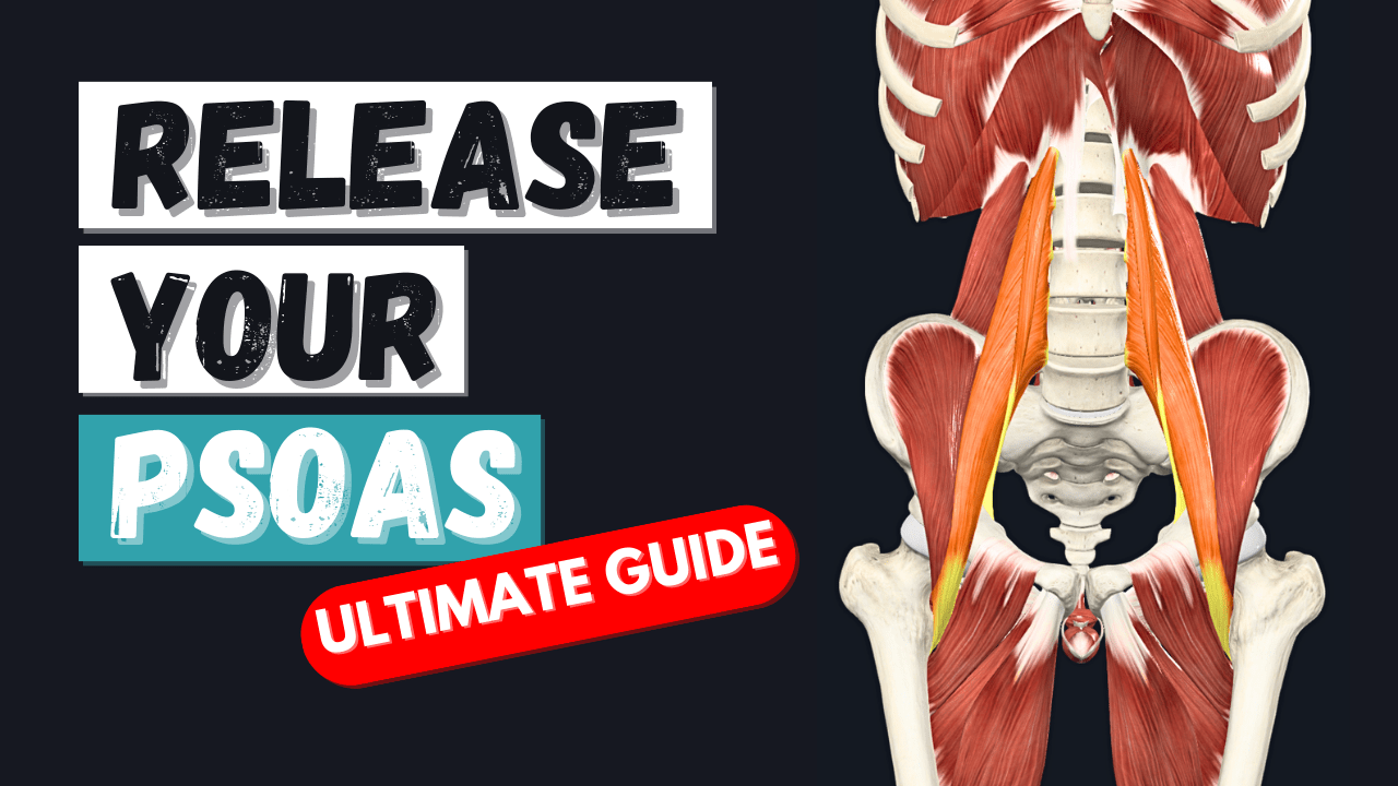 How To Release Your Psoas: The Ultimate Guide - Train And Massage